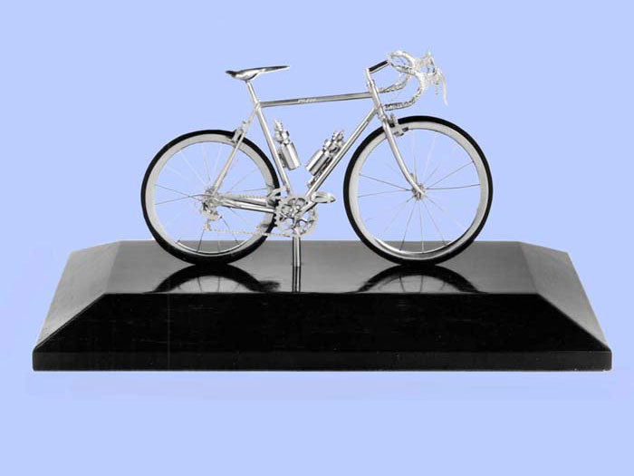 Silver Model of a Mountain Bicycle